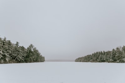 冰雪覆盖领域之间的线在白色的天空
